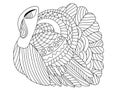 Turkey bird vector coloring page Royalty Free Stock Photo